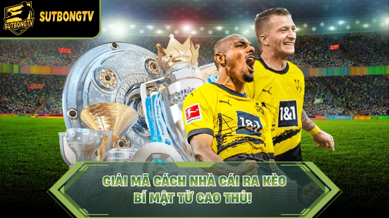 cách nhà cái ra kèo